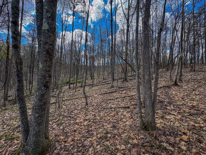 Wirt, WV 62.5 AC Full-19
