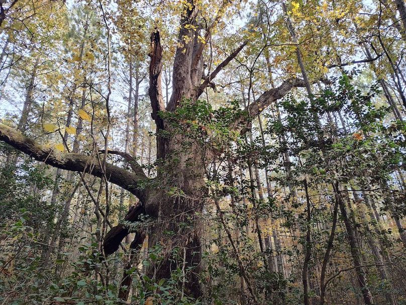 IMG_20251105_150512212_HDR