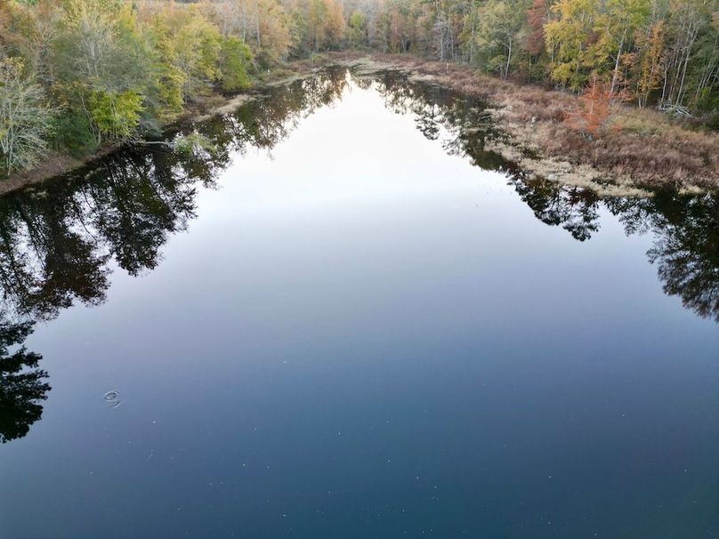 dji_fly_20251103_173722_414_1762260592643_photo