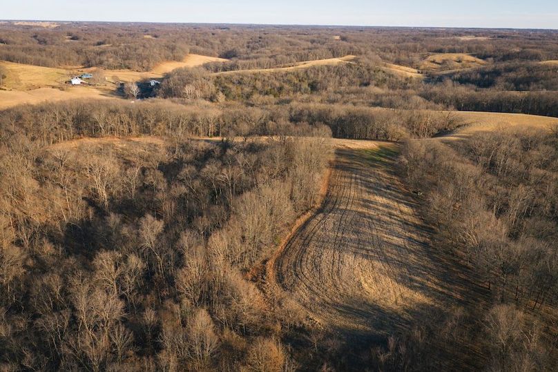 DJI_20260218161852_0631_D