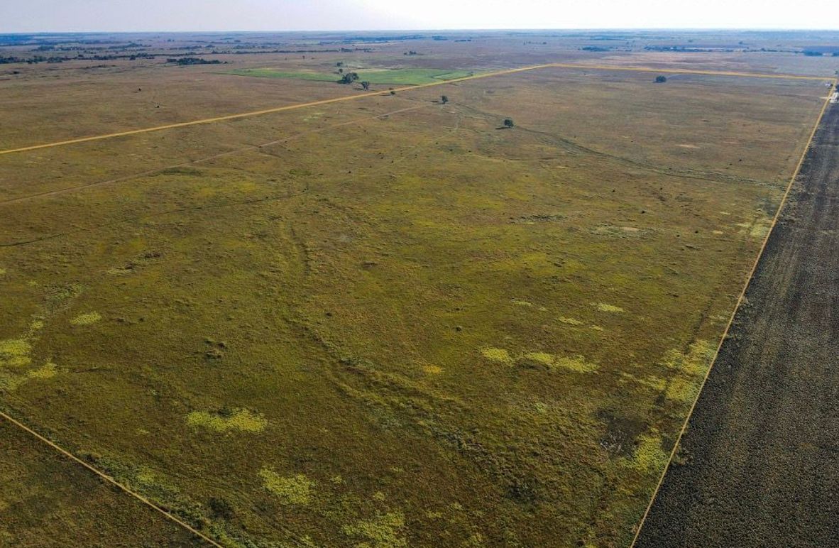 Comanche321_0003 copy