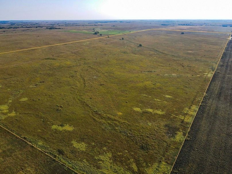 Comanche321_0003 copy