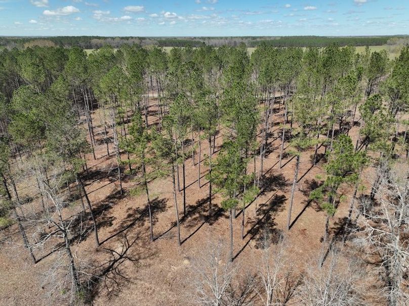 dji_fly_20240307_121212_157_1709831725511_photo