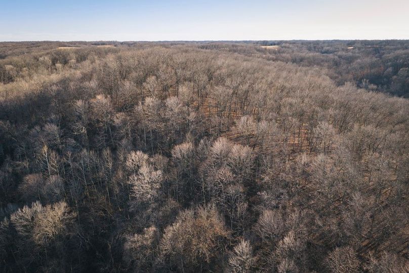 DJI_20260218154409_0621_D