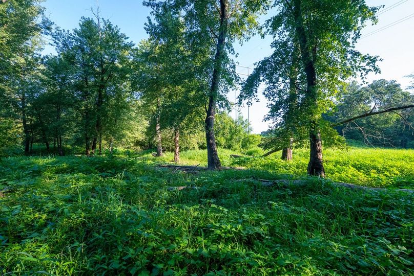 Copy of DSC06260 Large