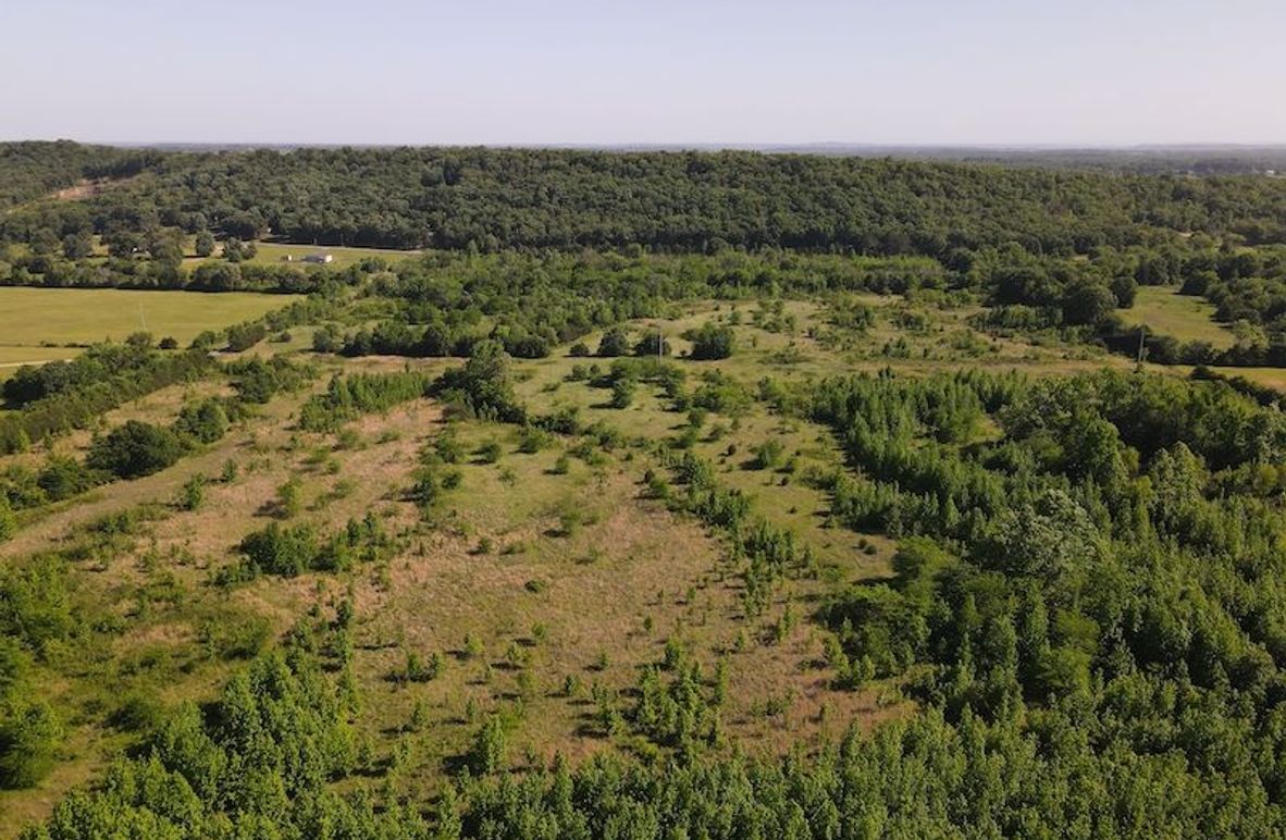 dji_fly_20260513_163150_128_1778780260698_photo