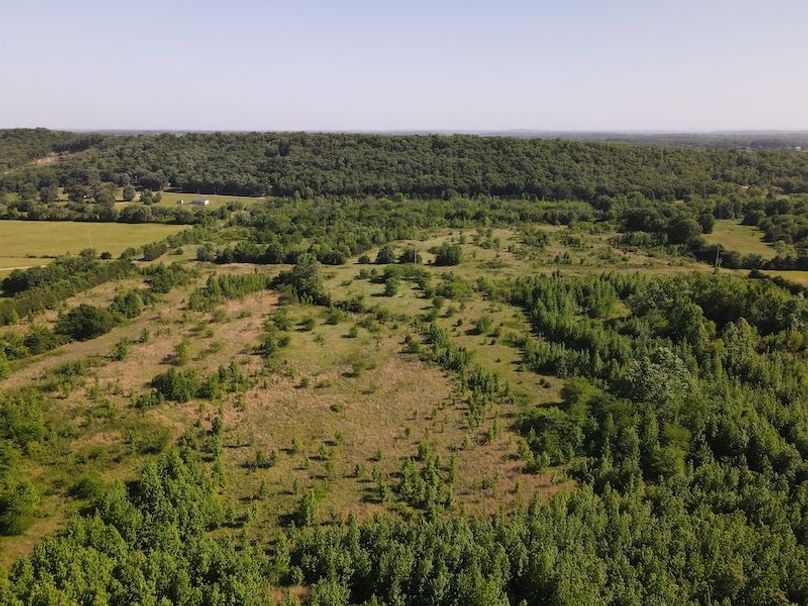 dji_fly_20260513_163150_128_1778780260698_photo