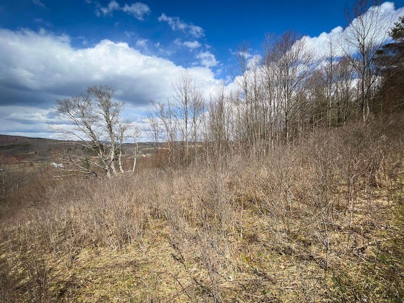 Tioga__NY_109.7_Burris_Photos_84