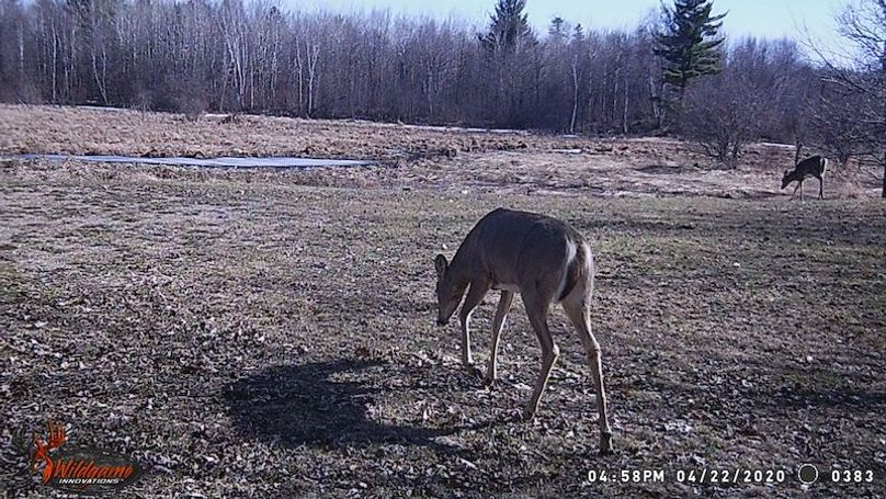 WGI_0383