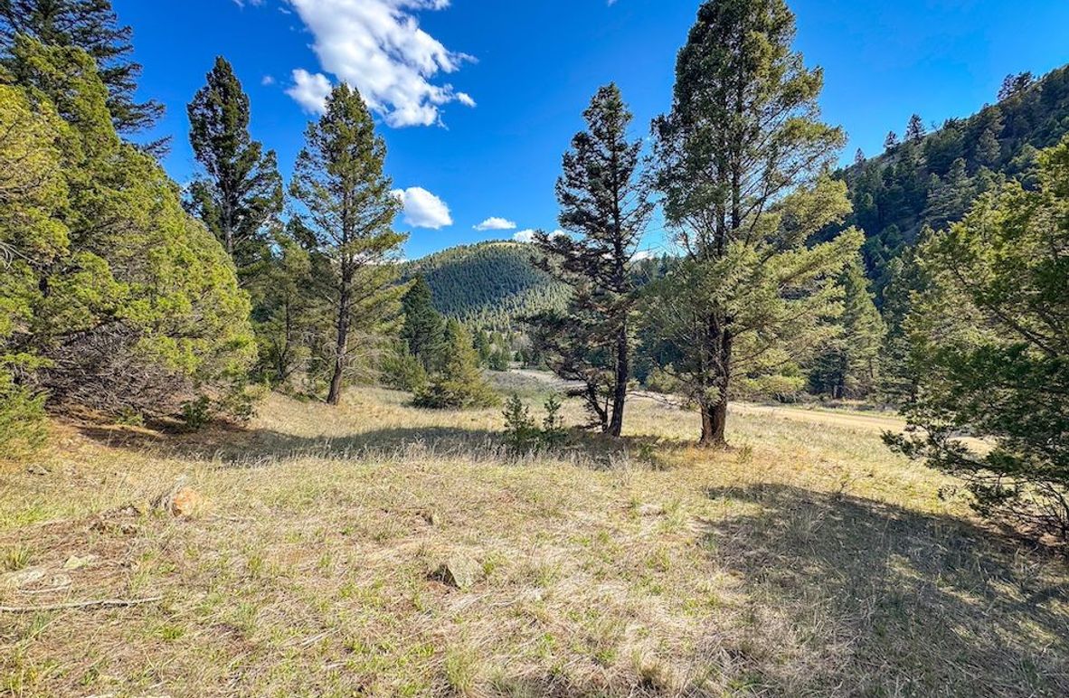 1. 20250508-IMG_3873 2