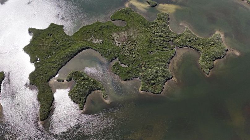 17.17ac, Citrus, Josiah Ronco05