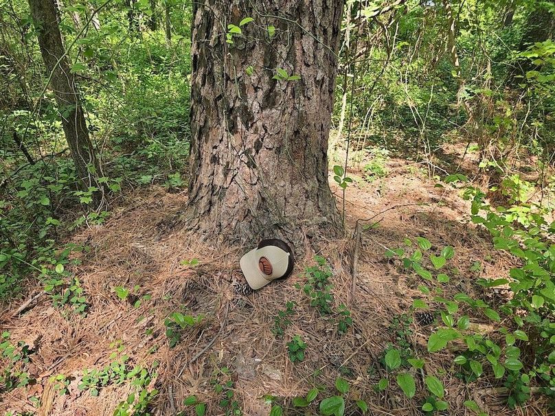 2.72ac_St Marys Rd_QAnnes_08