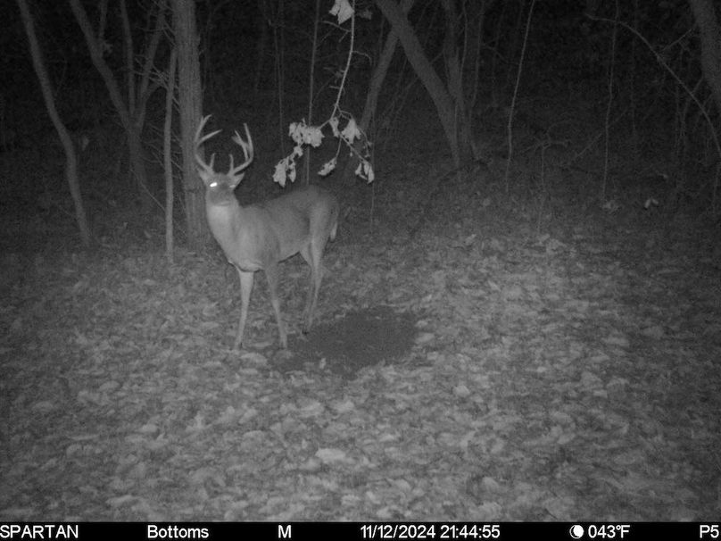 trail cam4