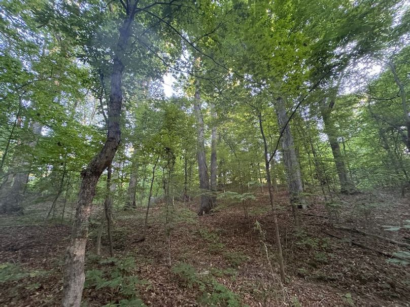 Desoto 8.3 Clement (Final Frontier) -24