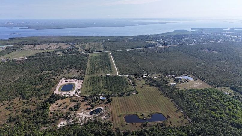 DJI_20251206101559_0104_D