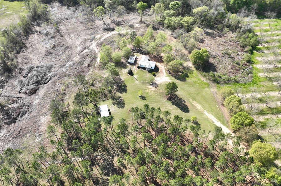 dji_fly_20230319_163210_205_1679259223479_photo