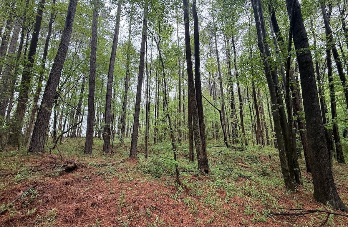 Copy of Copy of IMG_5661