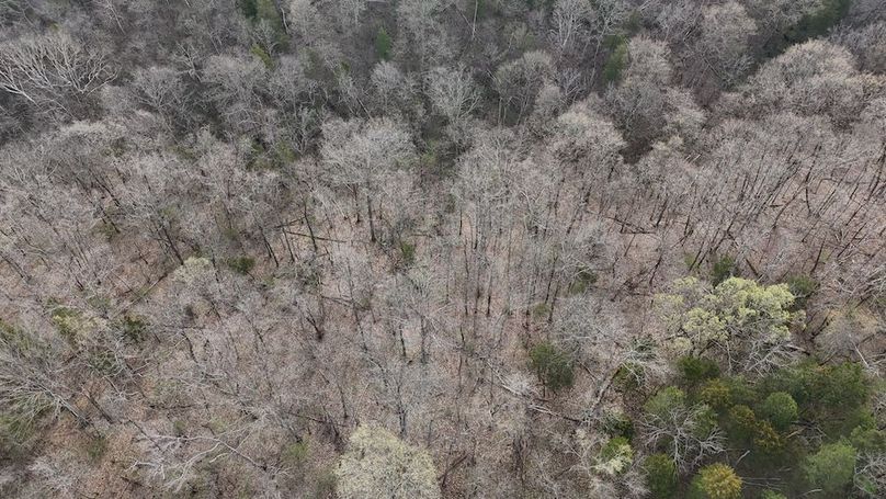 DJI_20250329094108_0275_D