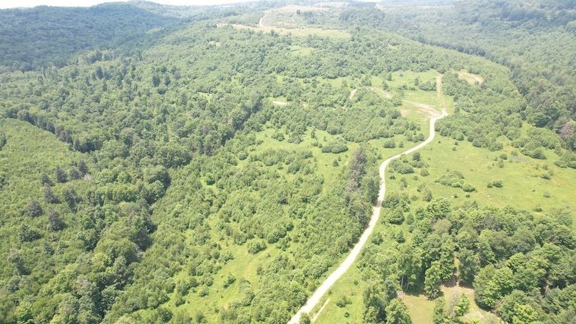 dji_fly_20240621_132650_369_1718991015568_photo