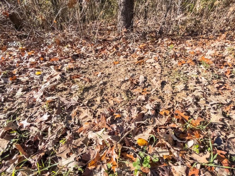 Claiborne Co - 274 - Marian-088