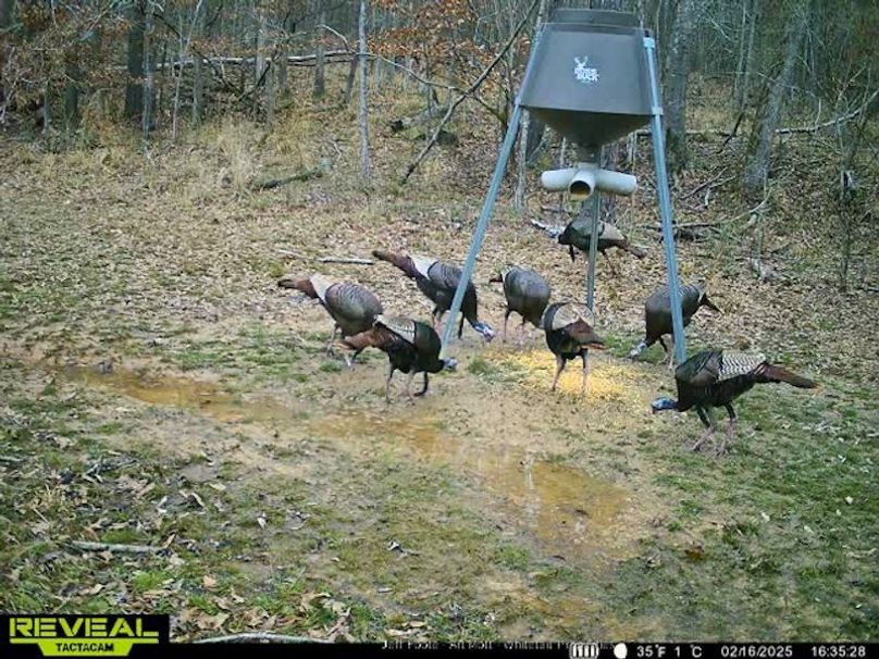 Holmes County - 108 - Rodriguez-8