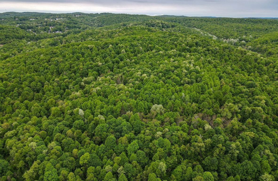 dji_fly_20240511_115328_92_1715442821181_photo