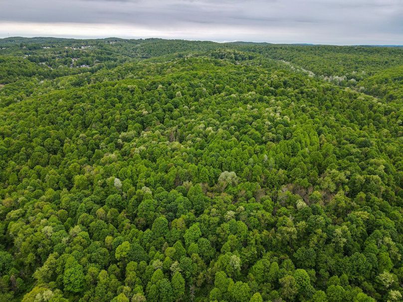 dji_fly_20240511_115328_92_1715442821181_photo