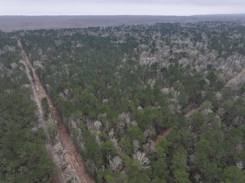 dji_fly_20260123_105236_0895_1769444796130_photo