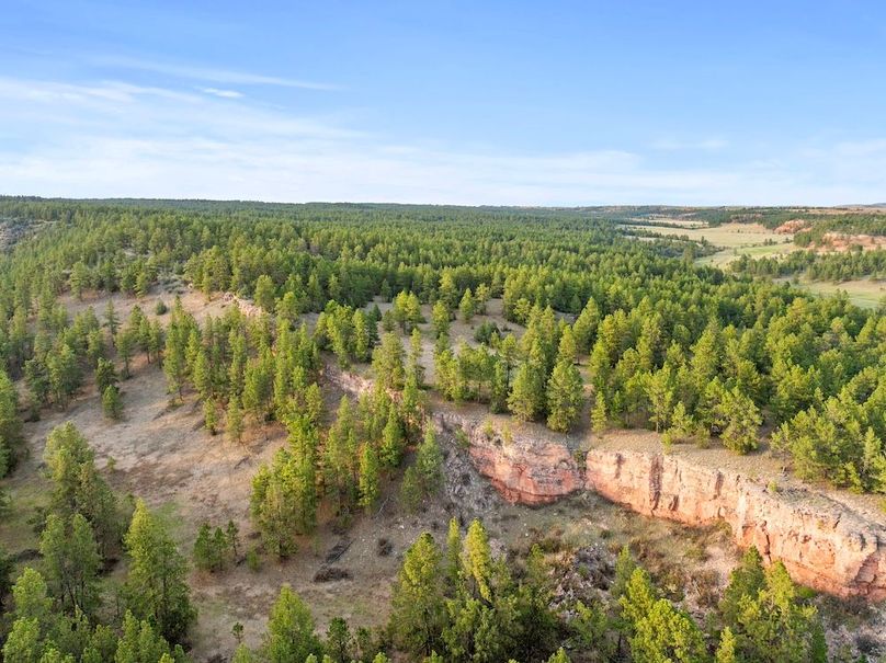 20-DJI_20250507185104_0769_D