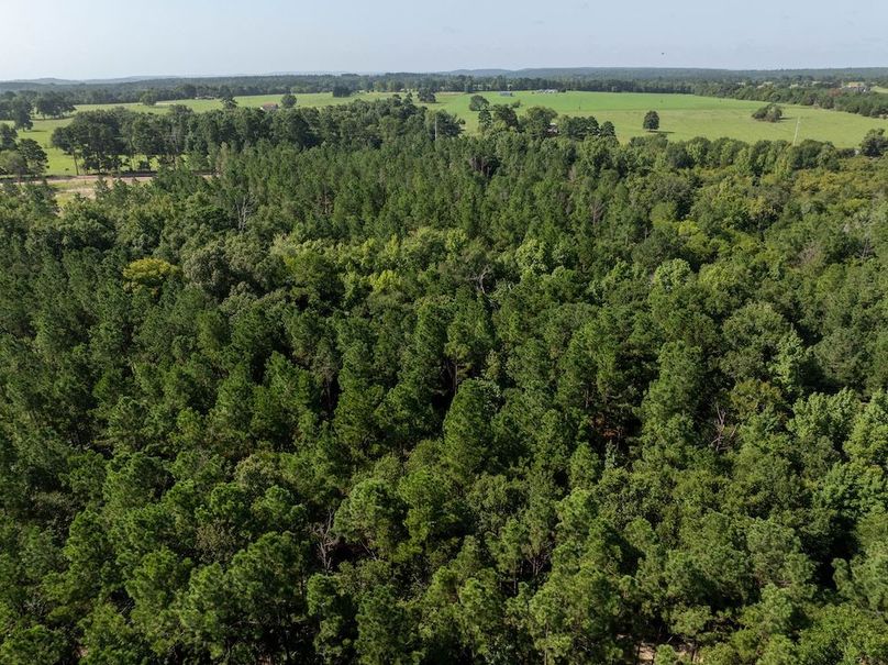 DJI_20240717050335_0161_D-HDR