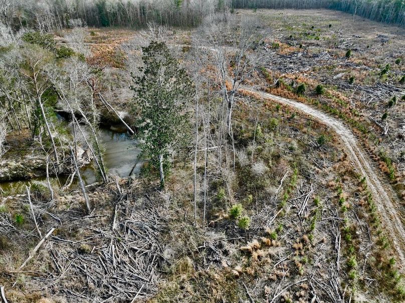 98307C97-81DE-43C5-A4CB-B2BCFBED04D0_1_201_a