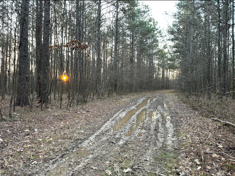 Screenshot 2025-10-03 at 11.13.43 AM