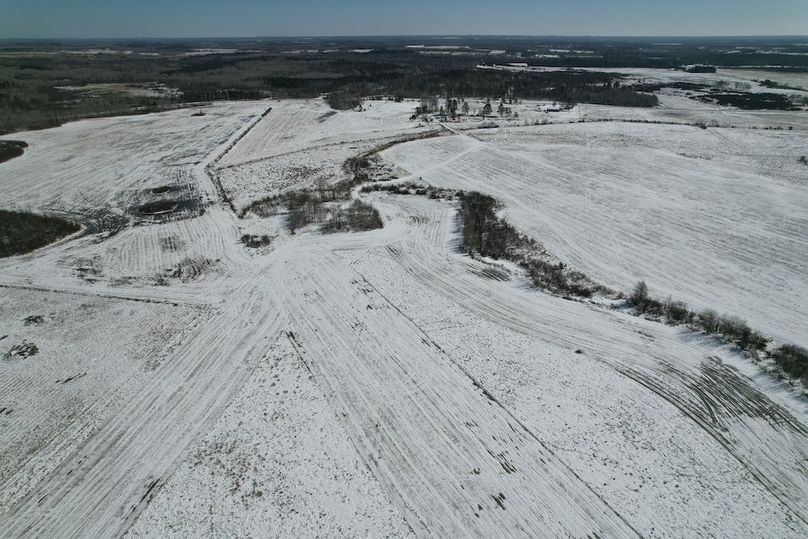 dji_fly_20260311_115604_113_1773248414906_photo (1)