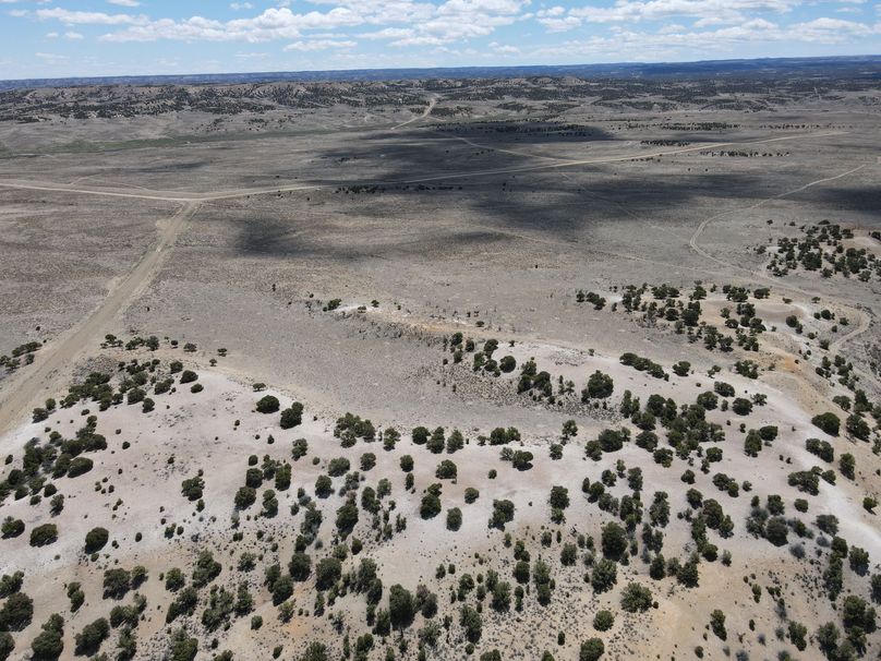 Photo_6553659_DJI_59_jpg_6832170_0_2021511124338_photo_original