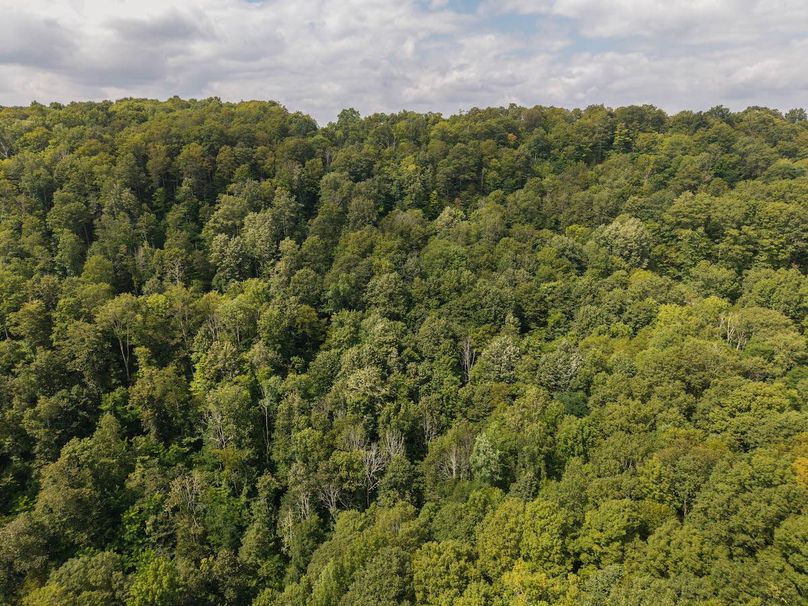 DJI_20250808152241_0012_D