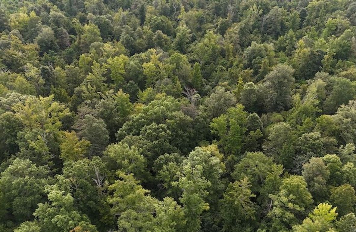 DJI_20250814092013_0063_D