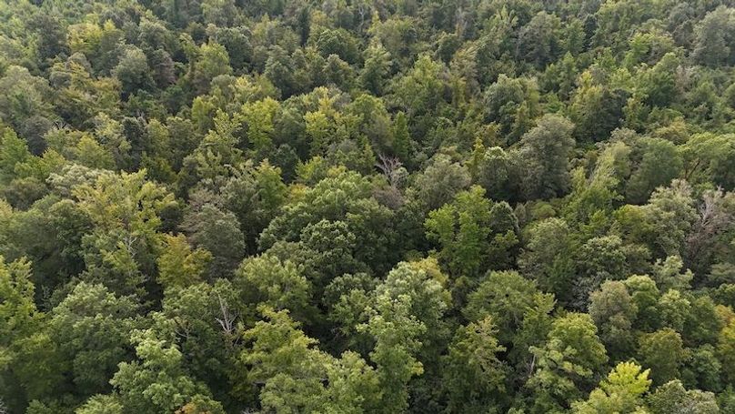 DJI_20250814092013_0063_D