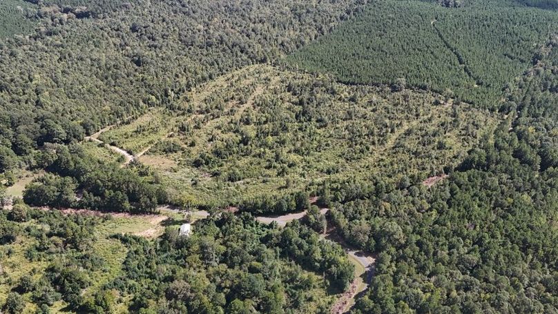 DJI_20250924035746_0753_D