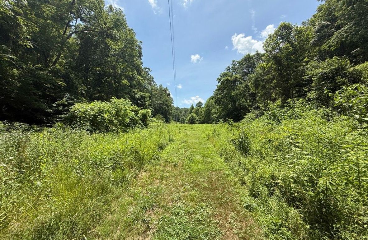 003 the field area near the creek in the valley