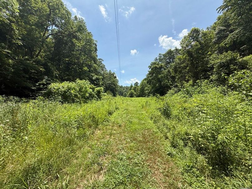 003 the field area near the creek in the valley