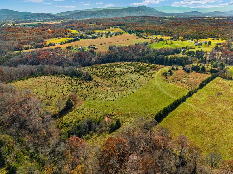 1-web-or-mls-DJI_0364