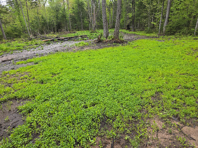 photo_b7c5494a-d2d7-460a-b70f-55226915d24d