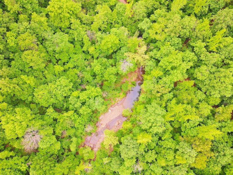 DJI_0348