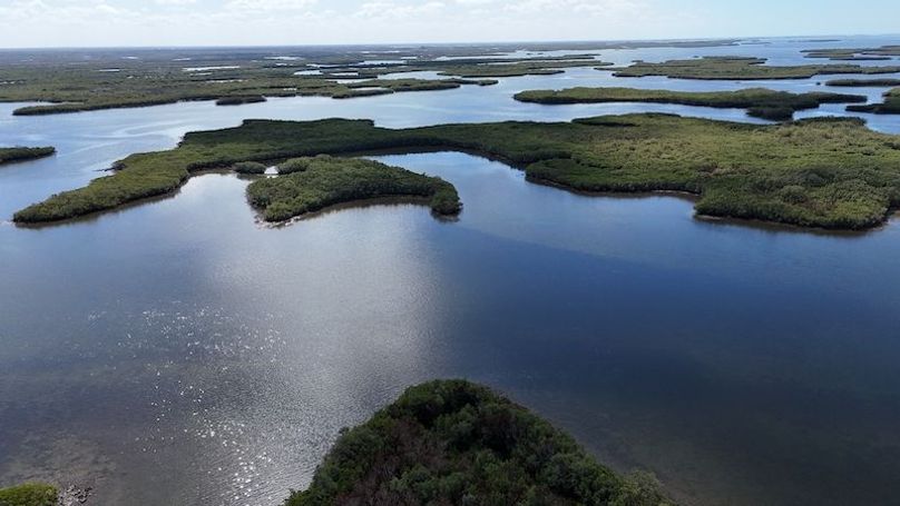 17.17ac, Citrus, Josiah Ronco20