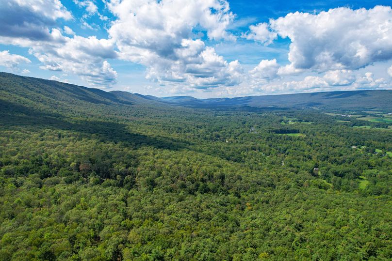 dji_fly_20230912_125640_301_1694538324574_photo