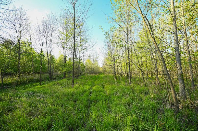 vandalia 450 (2)-3009