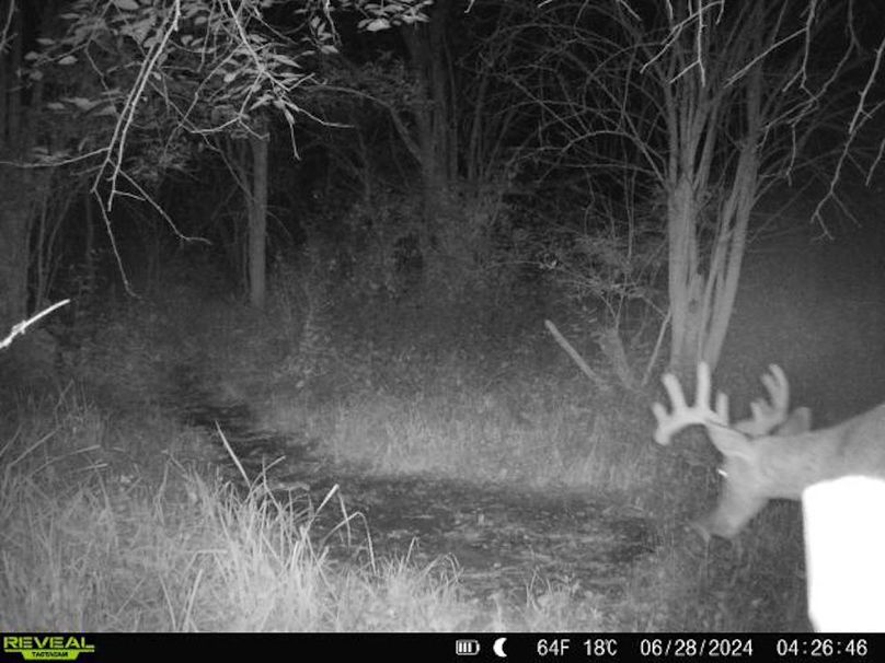 860322062166886-0-3-06282024042646-V-W1000719