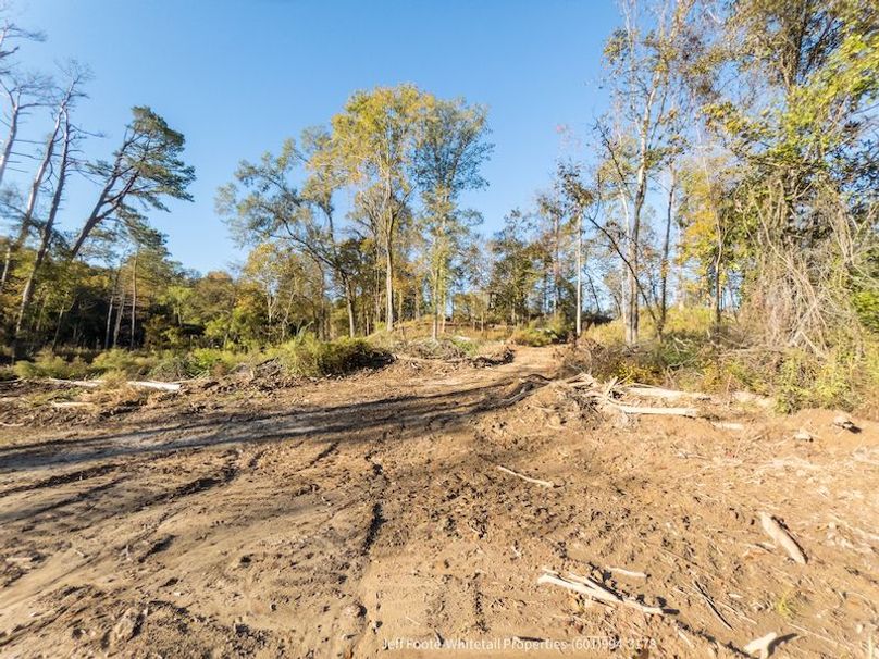 Claiborne Co-189-Geronimo-28