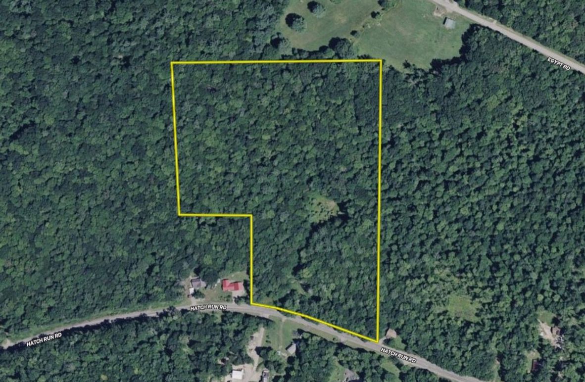 Screen Shot 2026-02-04 at 2.26.17 PM