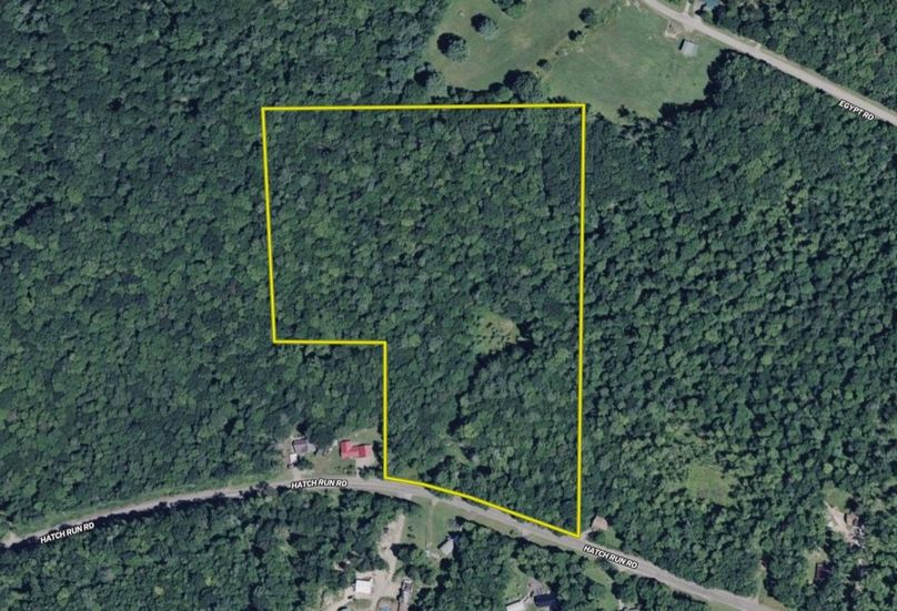 Screen Shot 2026-02-04 at 2.26.17 PM